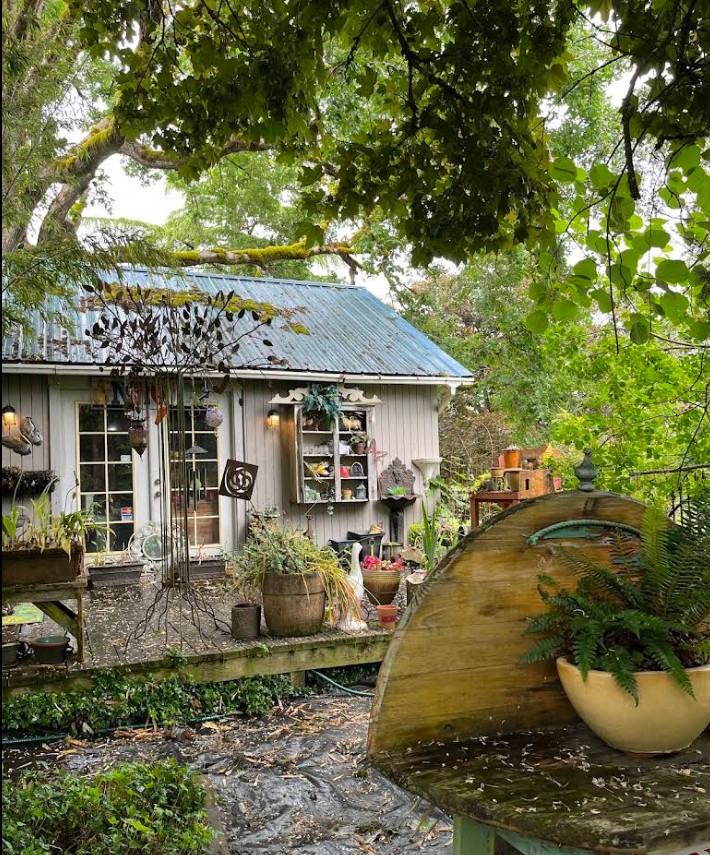 Tollen Farm, wilsonville oregon, willamette valley, miniature donkeys, farm tours, family fun, things to do, places to go, mini horses, working farm, gardens, orchard, animals, activities for kids, antique shop, by appointment