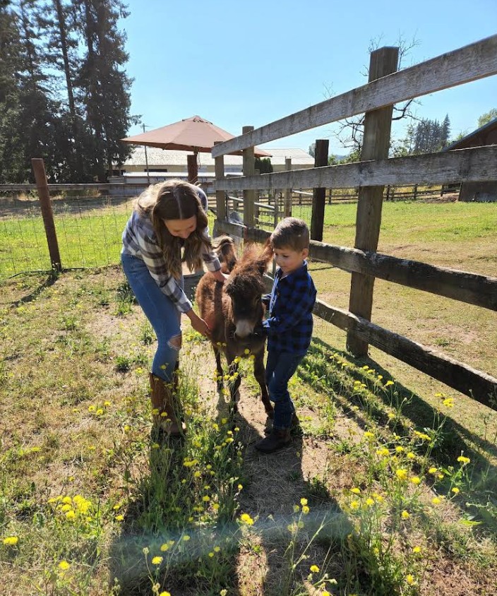 Tollen Farm, wilsonville oregon, willamette valley, miniature donkeys, farm tours, family fun, things to do, places to go, mini horses, working farm, gardens, orchard, animals, activities for kids, antique shop, by appointment