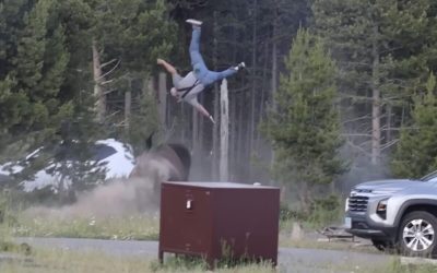 Video Shows Massive Bison Tossing Older Man Into The Air, Leaving Him Seriously Injured