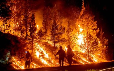 Oregon Nears a Historic Wildfire Record With More Than 1.6 Million Acres Burned Before August
