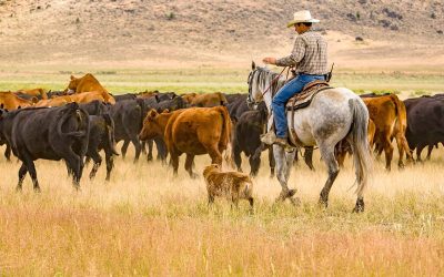 Radical Oregon Measure To Criminalize Hunting, Fishing, And Ranching Moves Closer To Ballot