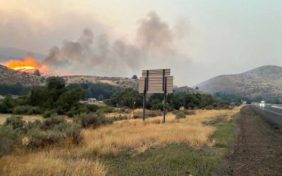 FEMA Approves 3 of 5 Oregon Wildfire Aid Requests, Denies Help for Two Major Fires