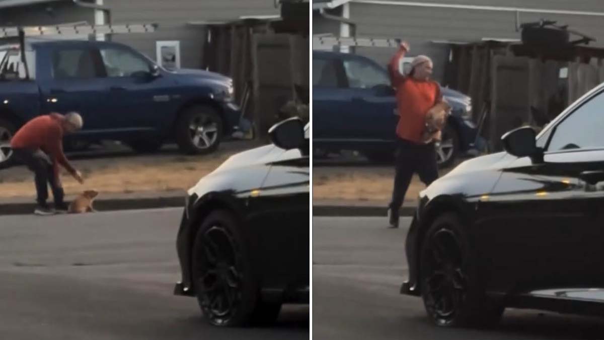 man_abusing_dog