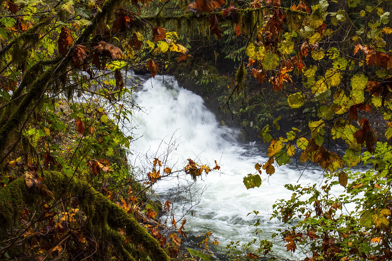 Sweet Creek Waterfalls, Oregon
