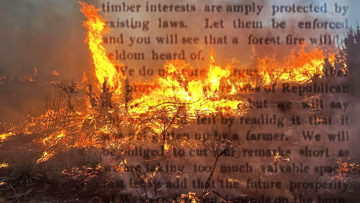 748327387_1358190669761533_7156561520196282881_n–COVER Oregon History, Wildfires, Debate, Old Newspaper Article, 1903, Hazel Dell, Oakridge, Upper Willamette, Arson, Senate Bill 50, Booth-Kelley, Forest Management, Eugene Guard, Tillamook Burn, Old Trails Fire