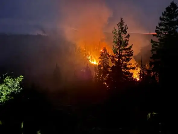 Grasshopper fire