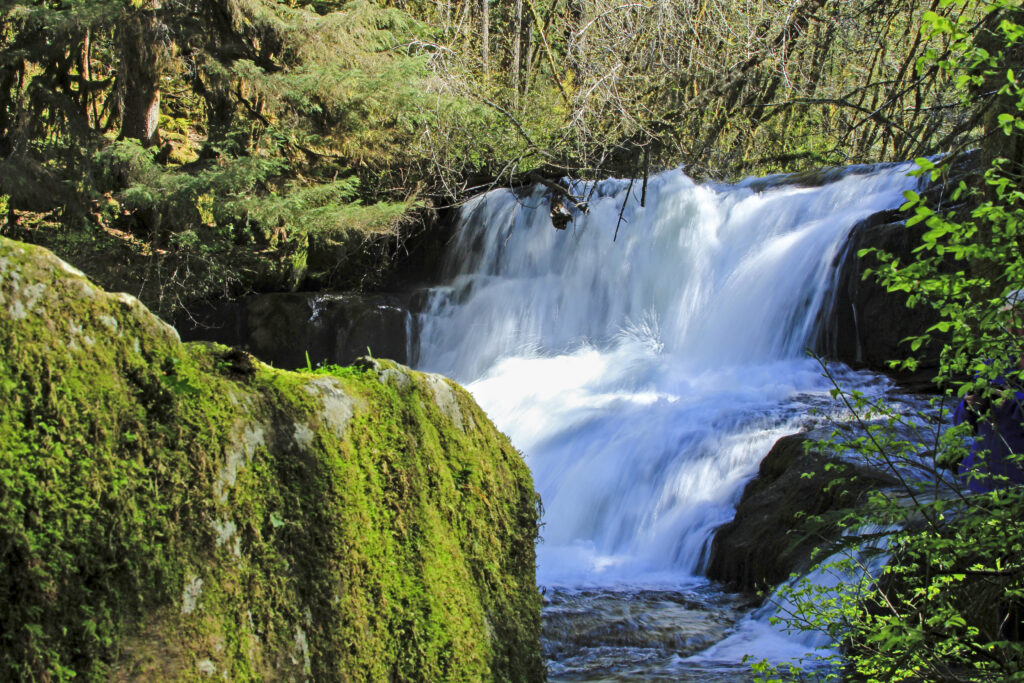 Alsea Falls in Oregon