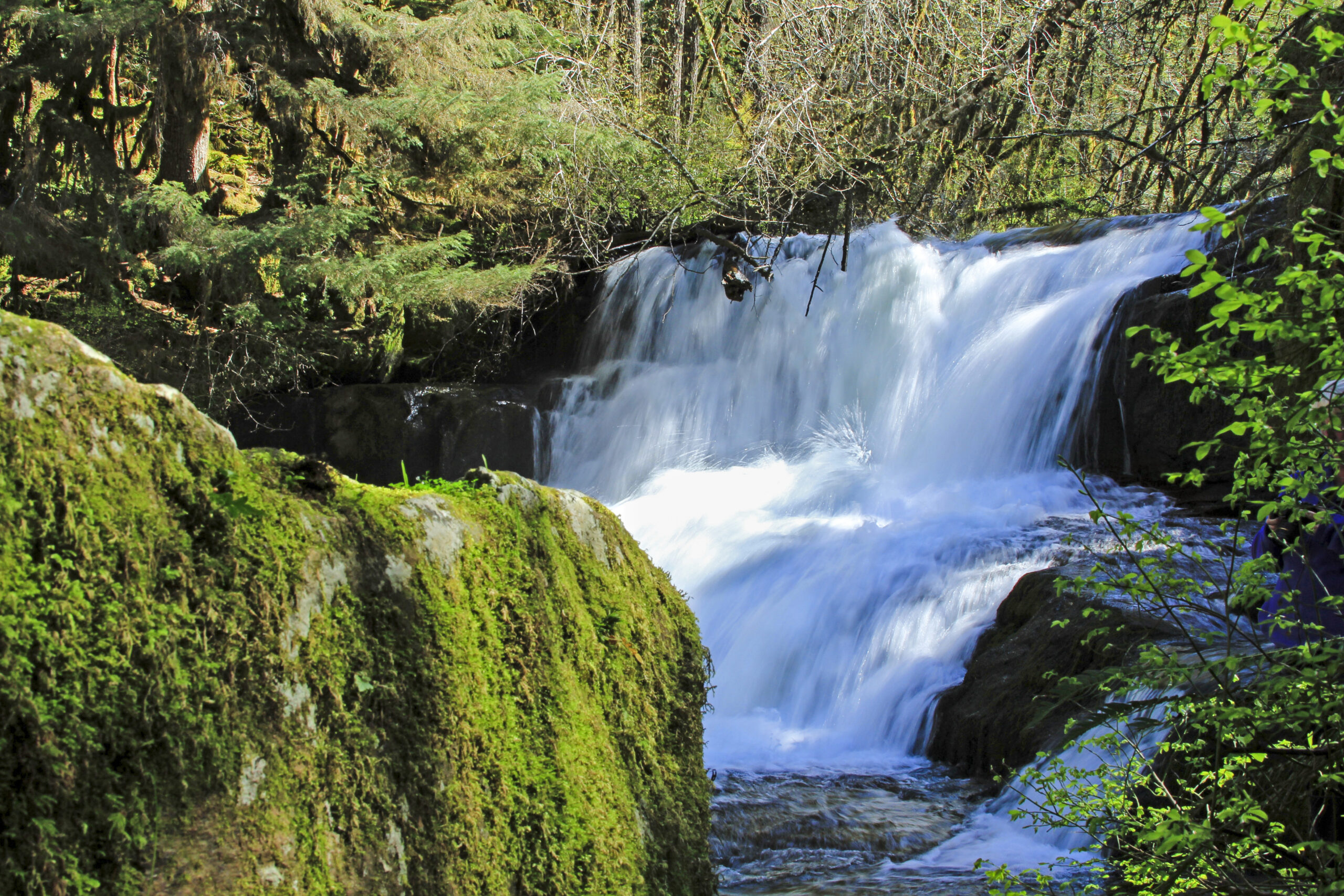 Alsea Falls in Oregon