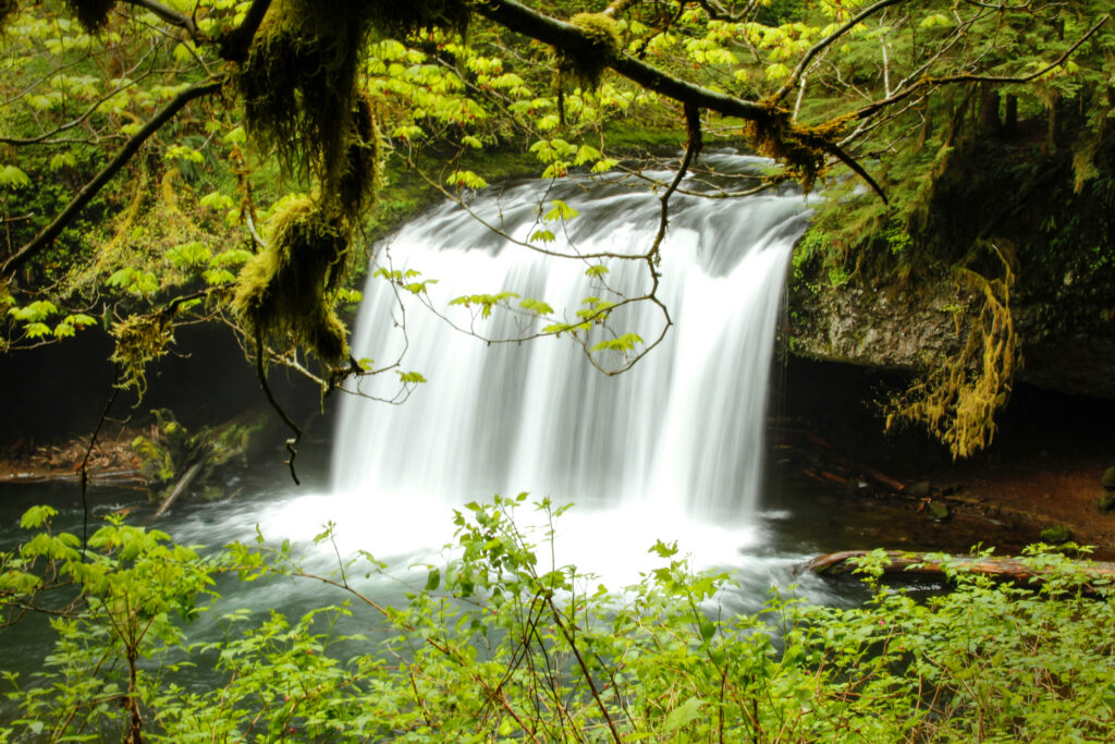 Butte Creek Falls in Oregon