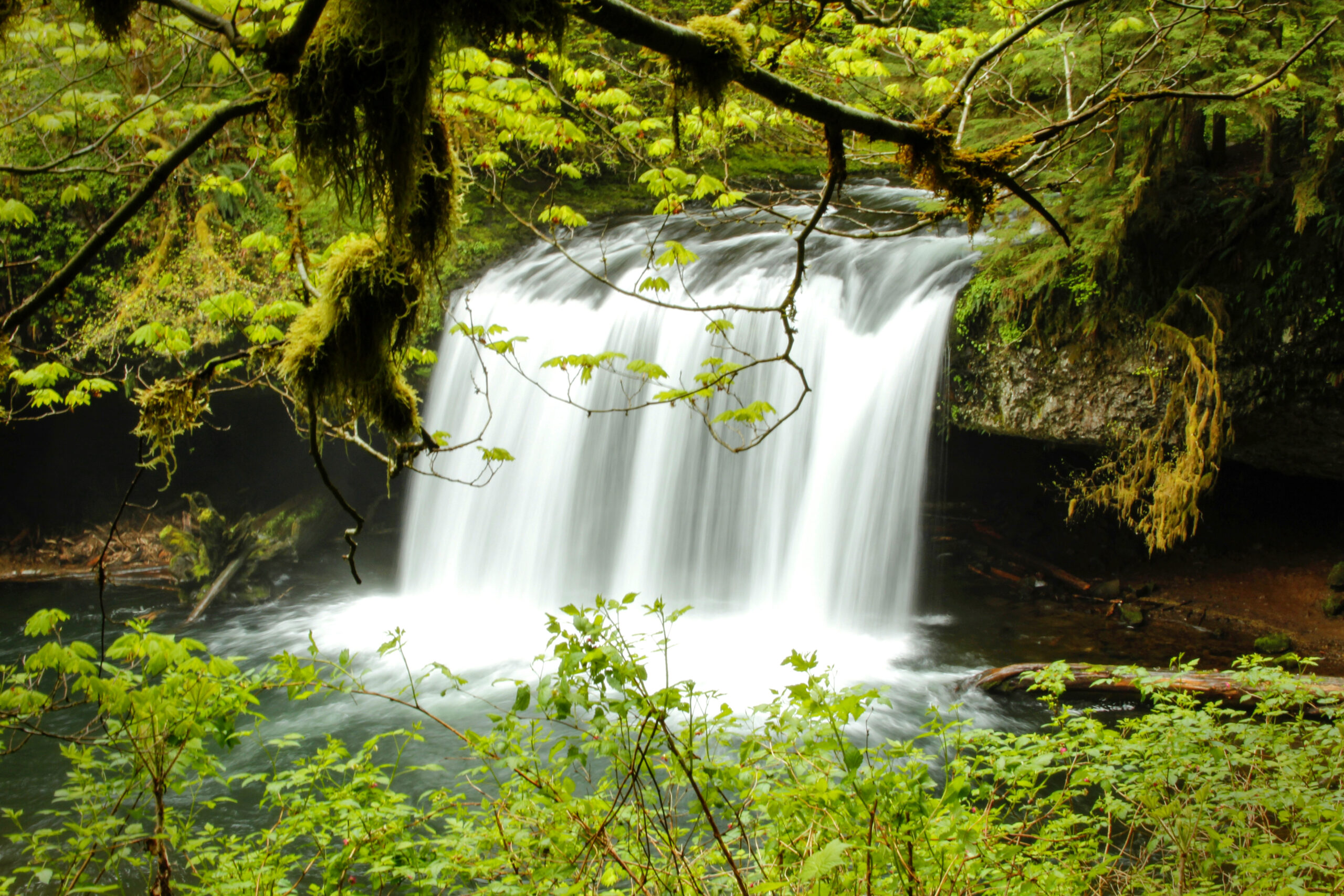 Butte Creek Falls in Oregon
