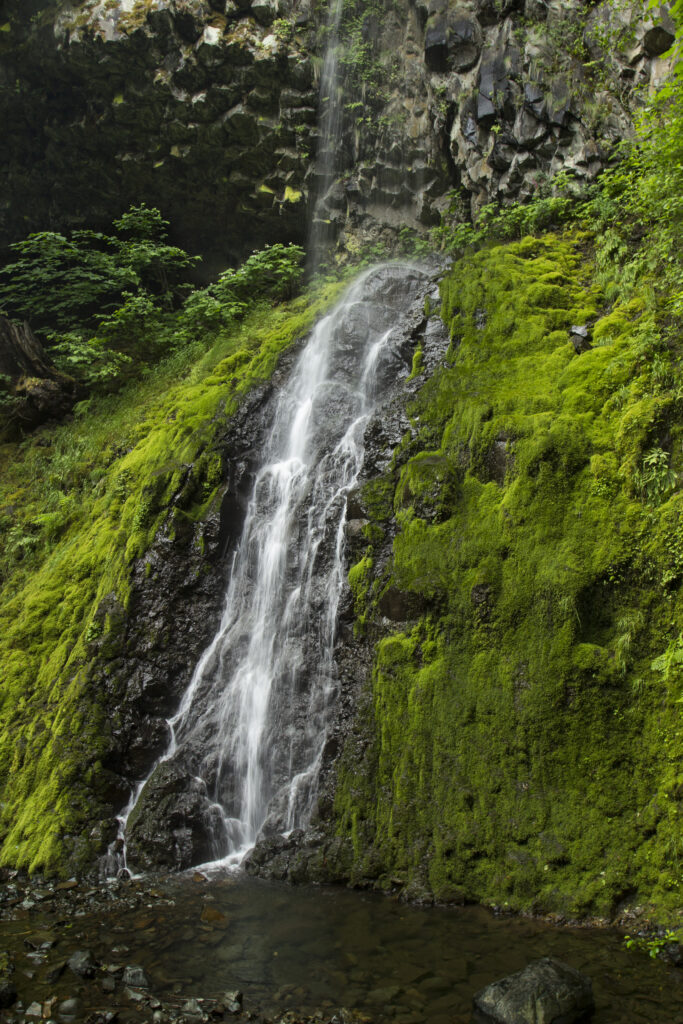 Cabin Creek Falls in Oregon