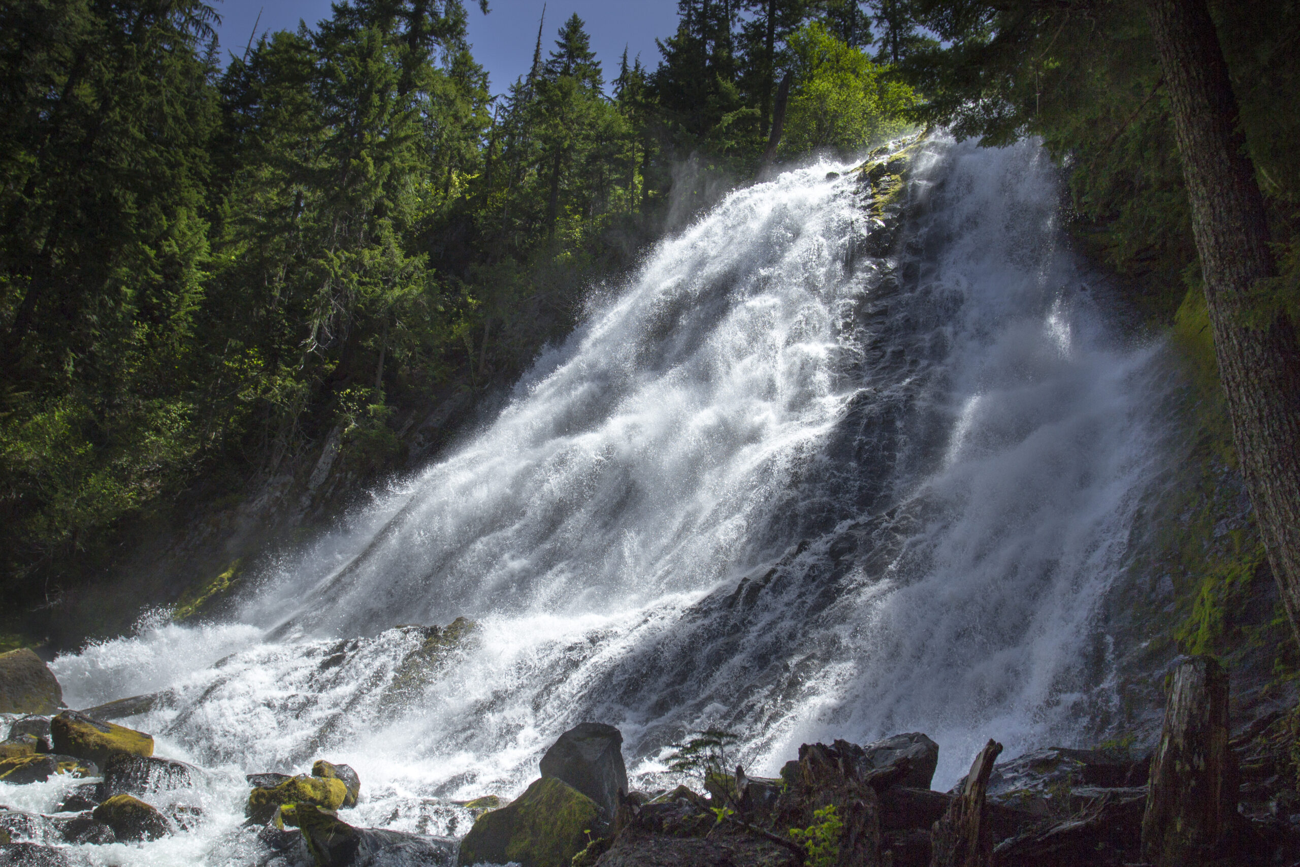 Diamond Creek Falls in Oregon