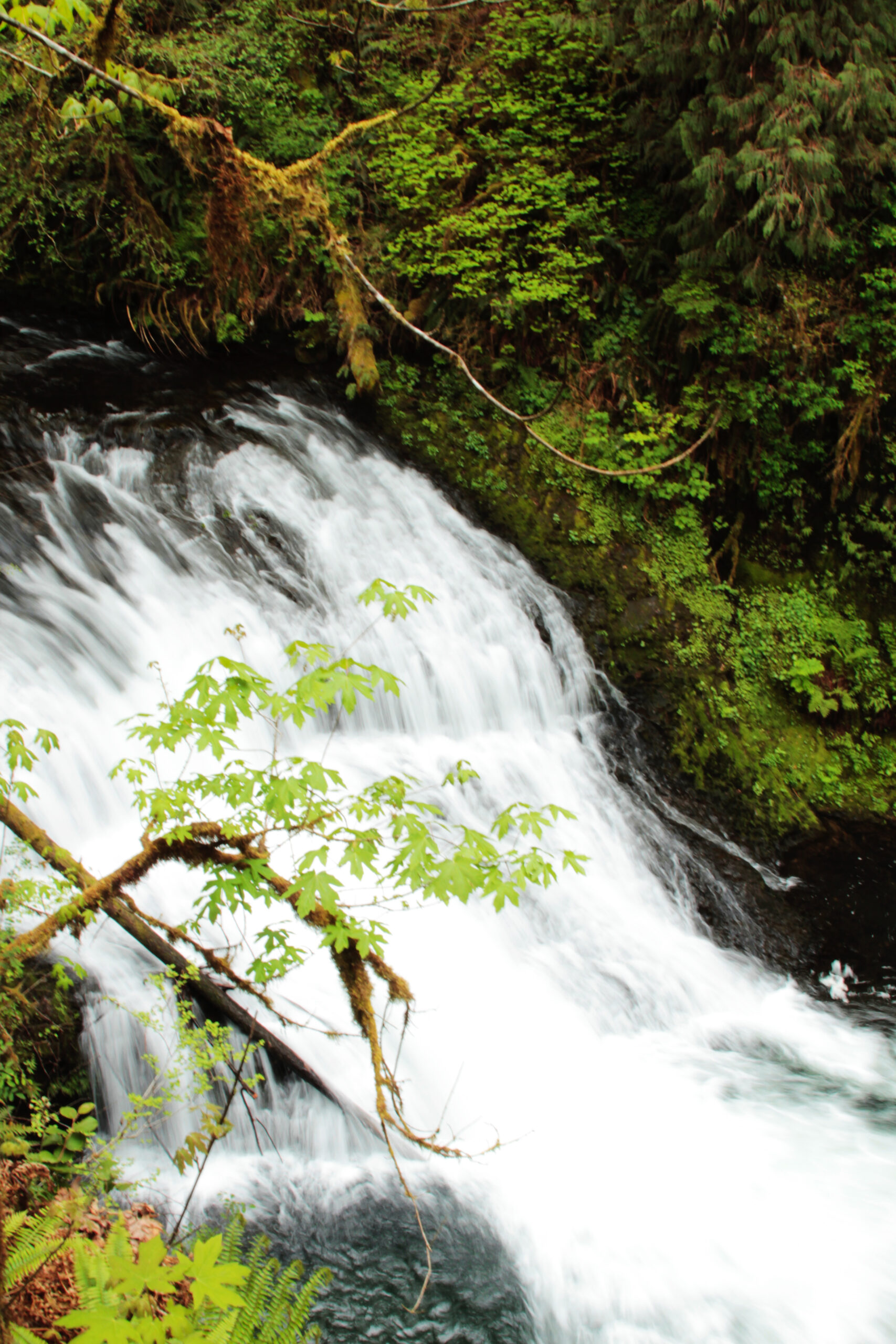 Drake Falls in Oregon