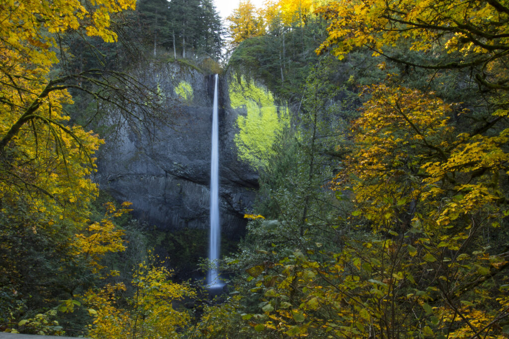 Latourell Falls in Oregon