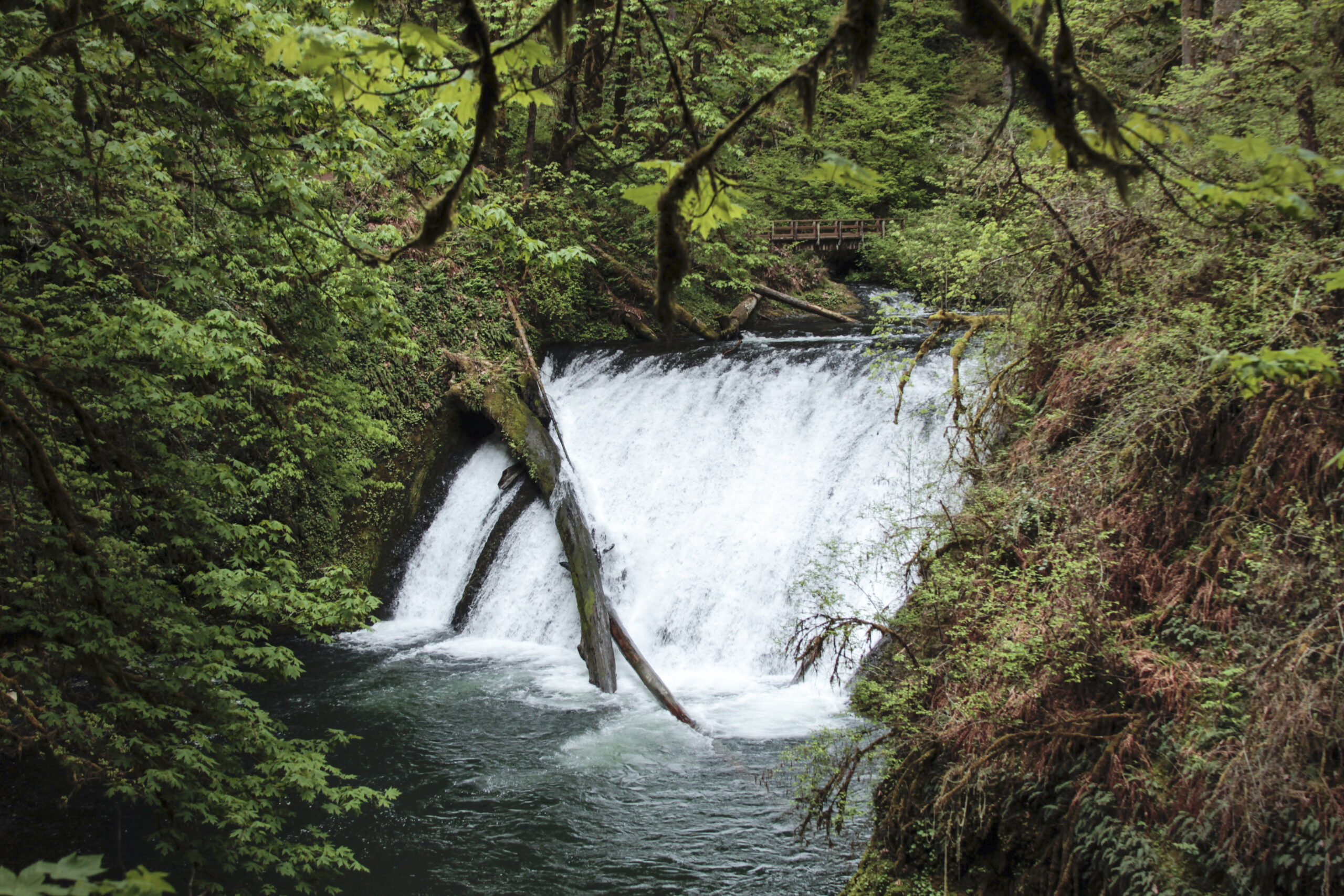 Lower North Falls in Oregon
