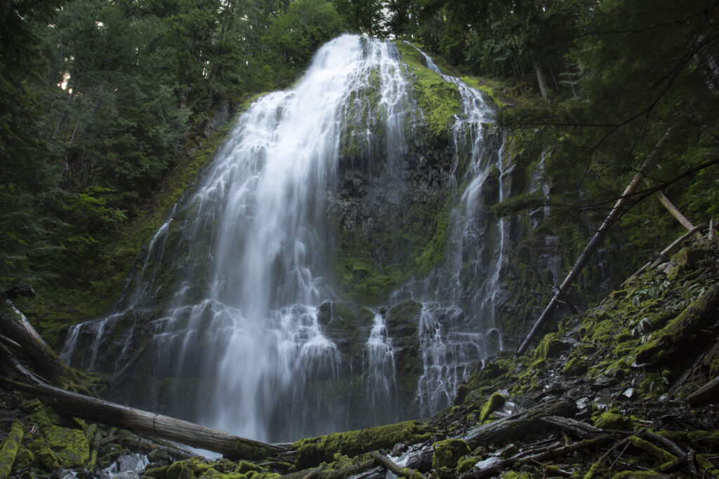 Lower Proxy Falls in Oregon