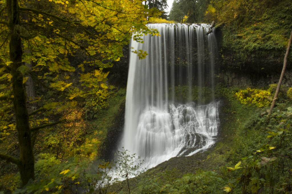 Middle North Falls in Oregon