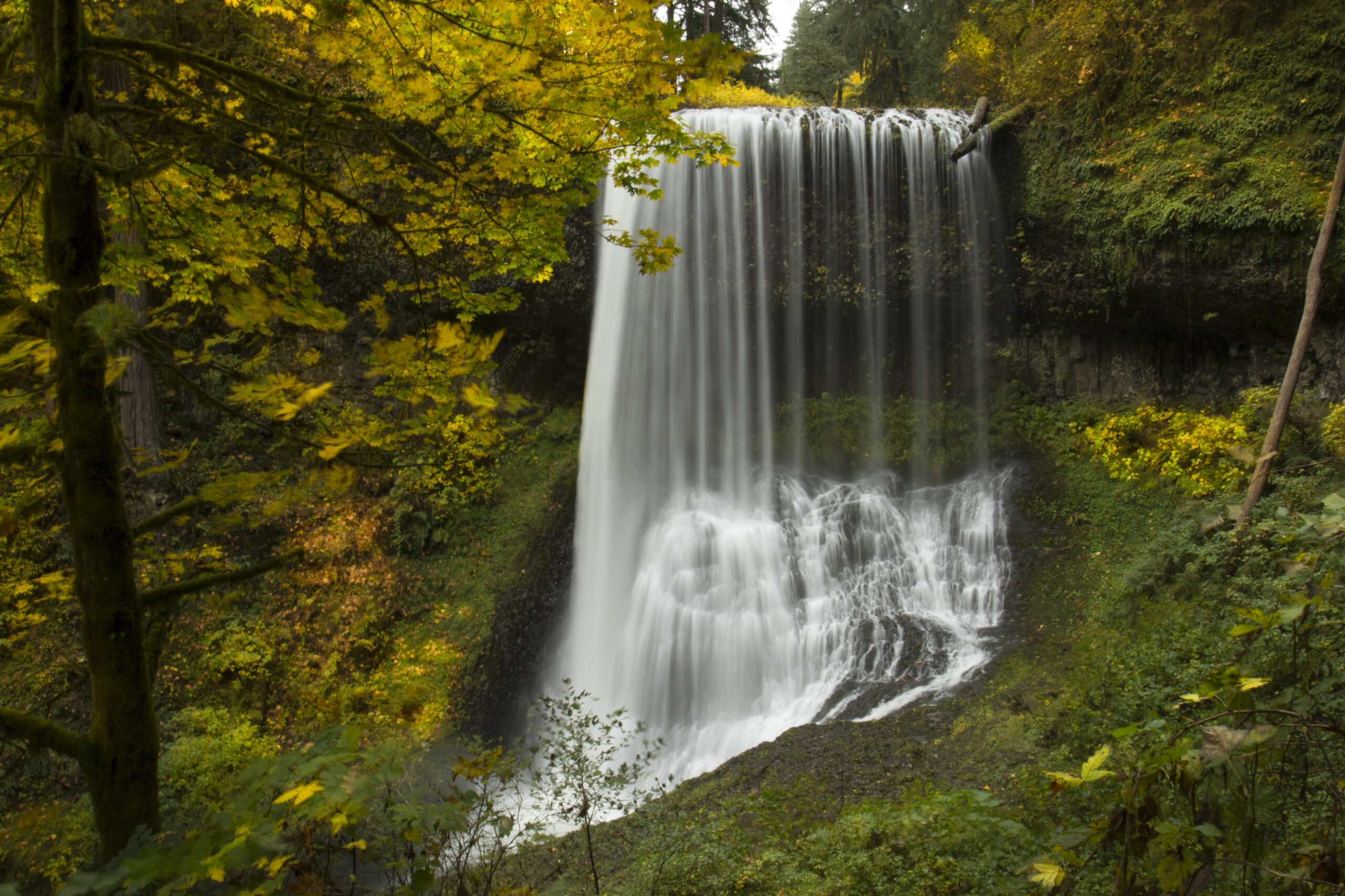 Middle North Falls in Oregon