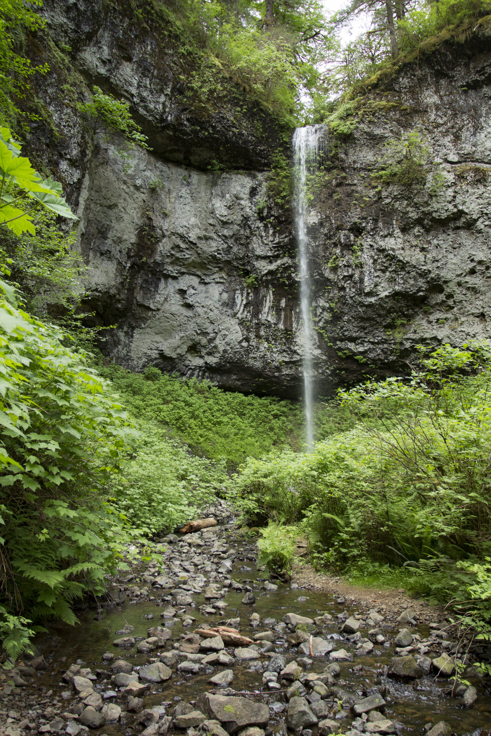 Pheasant Creek Falls in Oregon