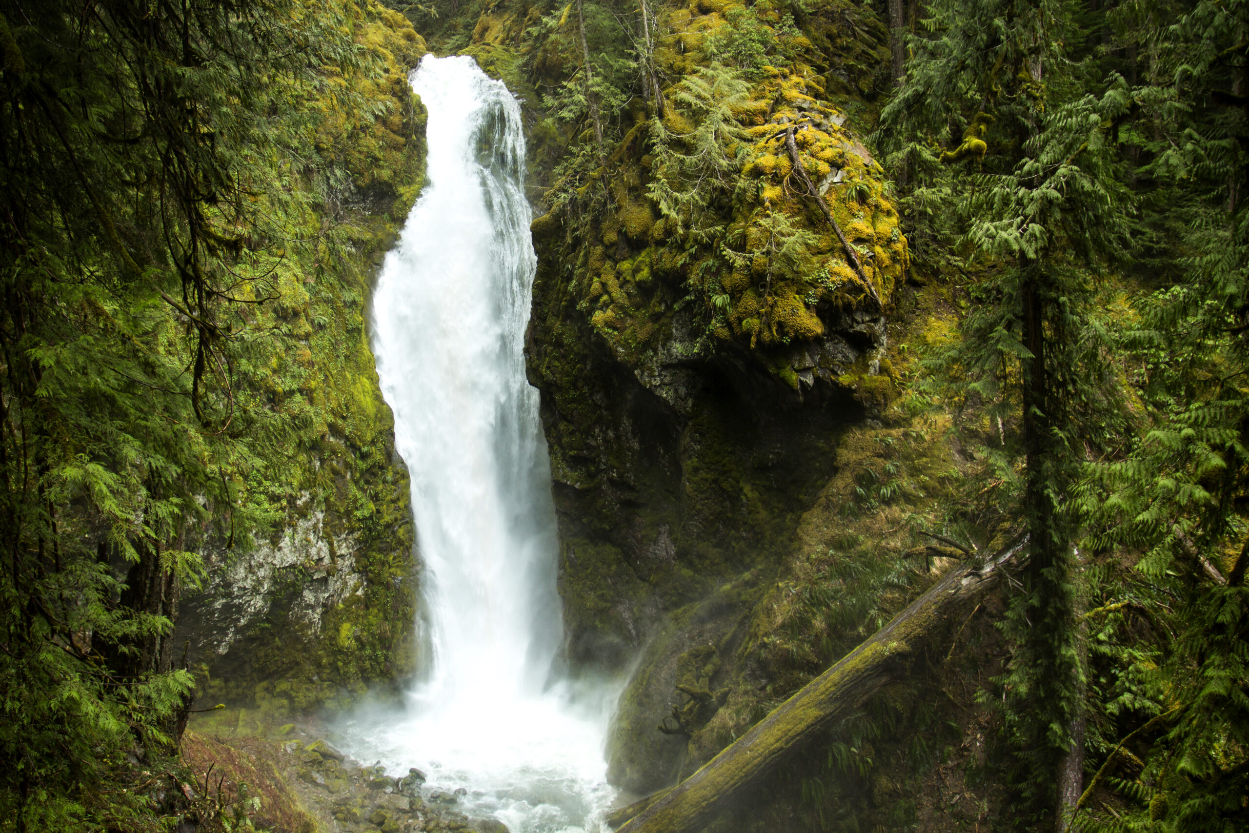 Pinard Falls in Oregon