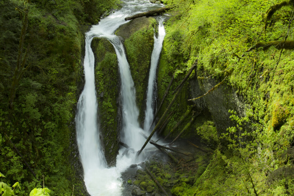 Ponytail Falls in Oregon