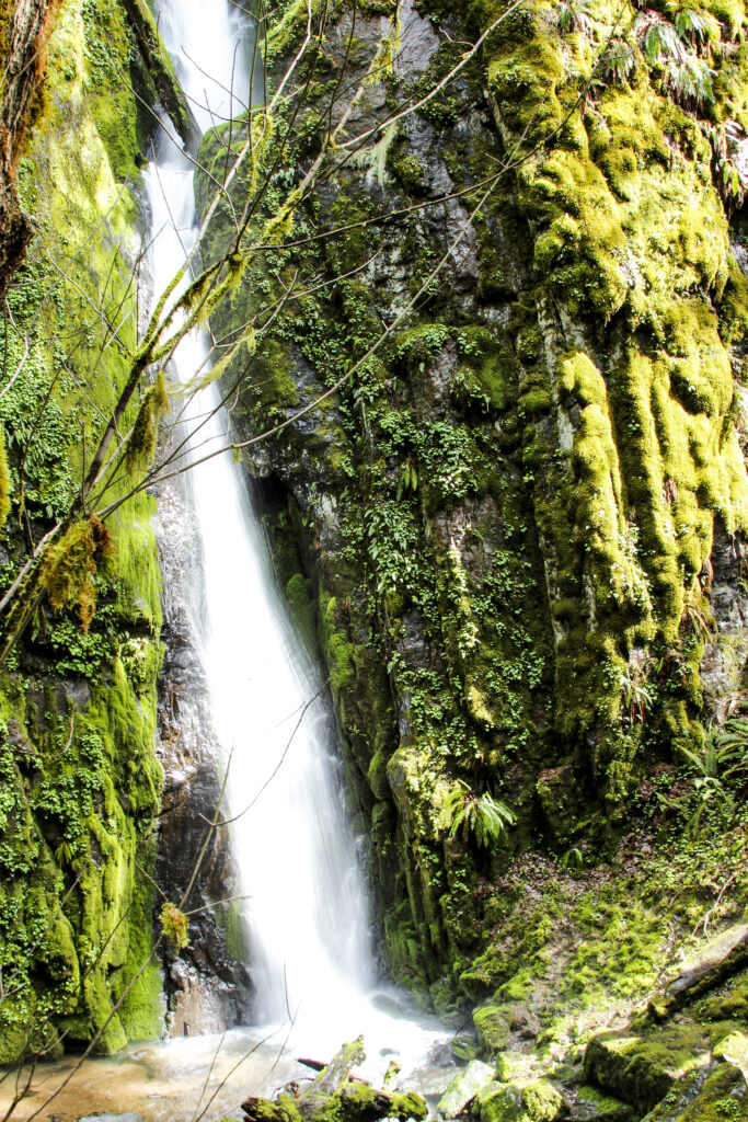Soda Creek Falls in Oregon
