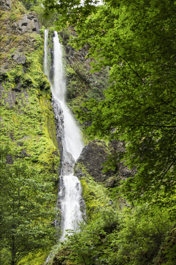 Starvation Creek Falls in Oregon