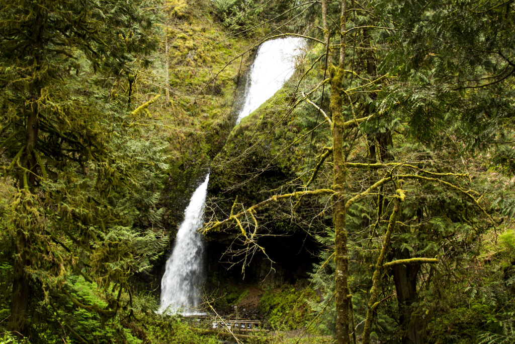 Upper Latourell Falls in Oregon