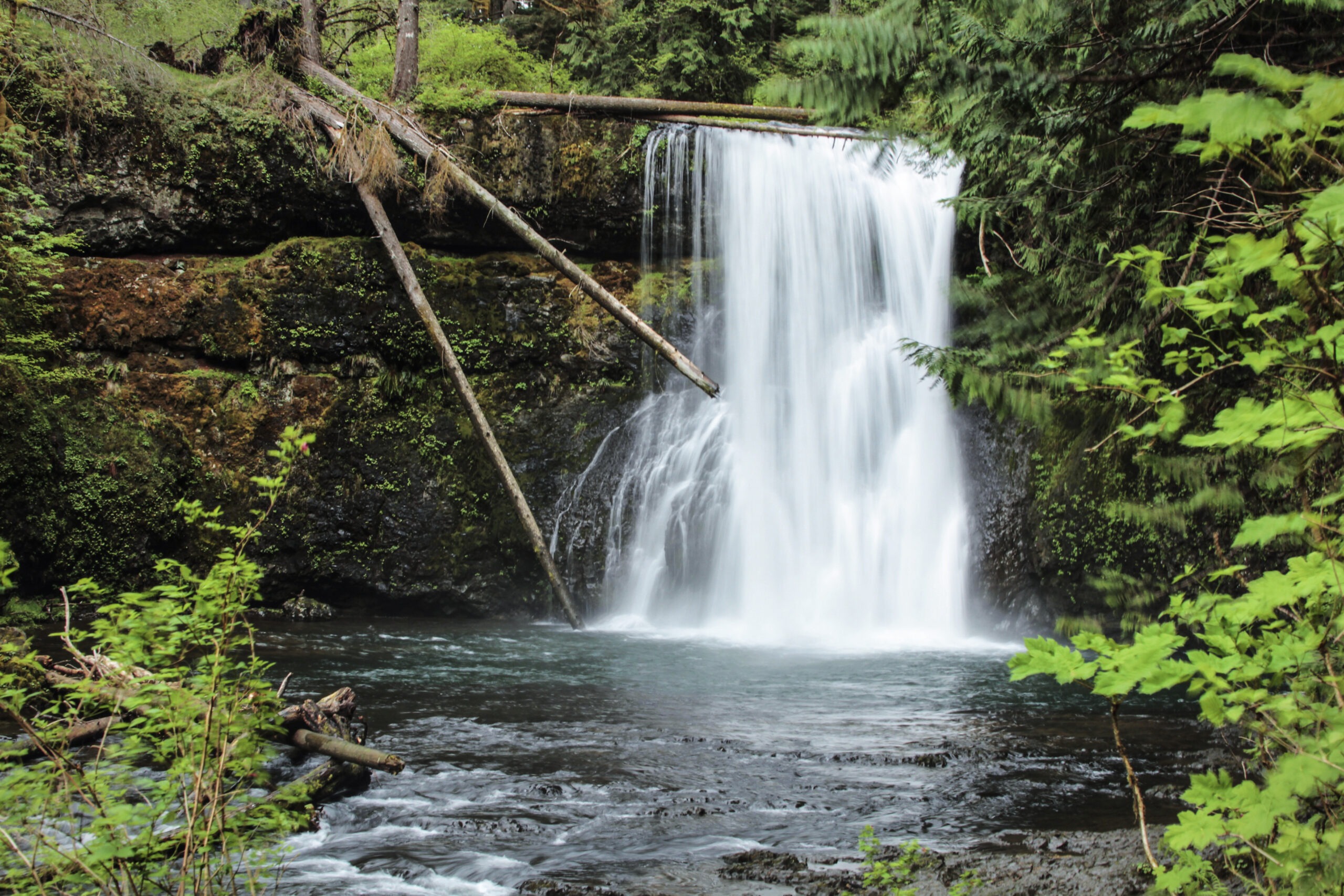 Upper North Falls in Oregon