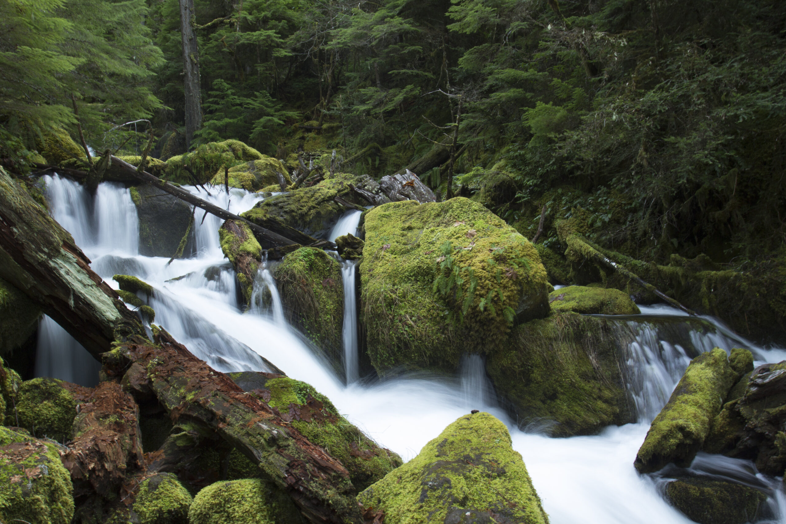 Watson Falls in Oregon