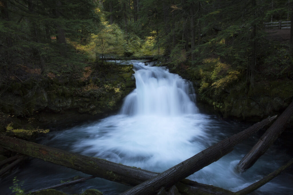 Whitehorse Falls in Oregon