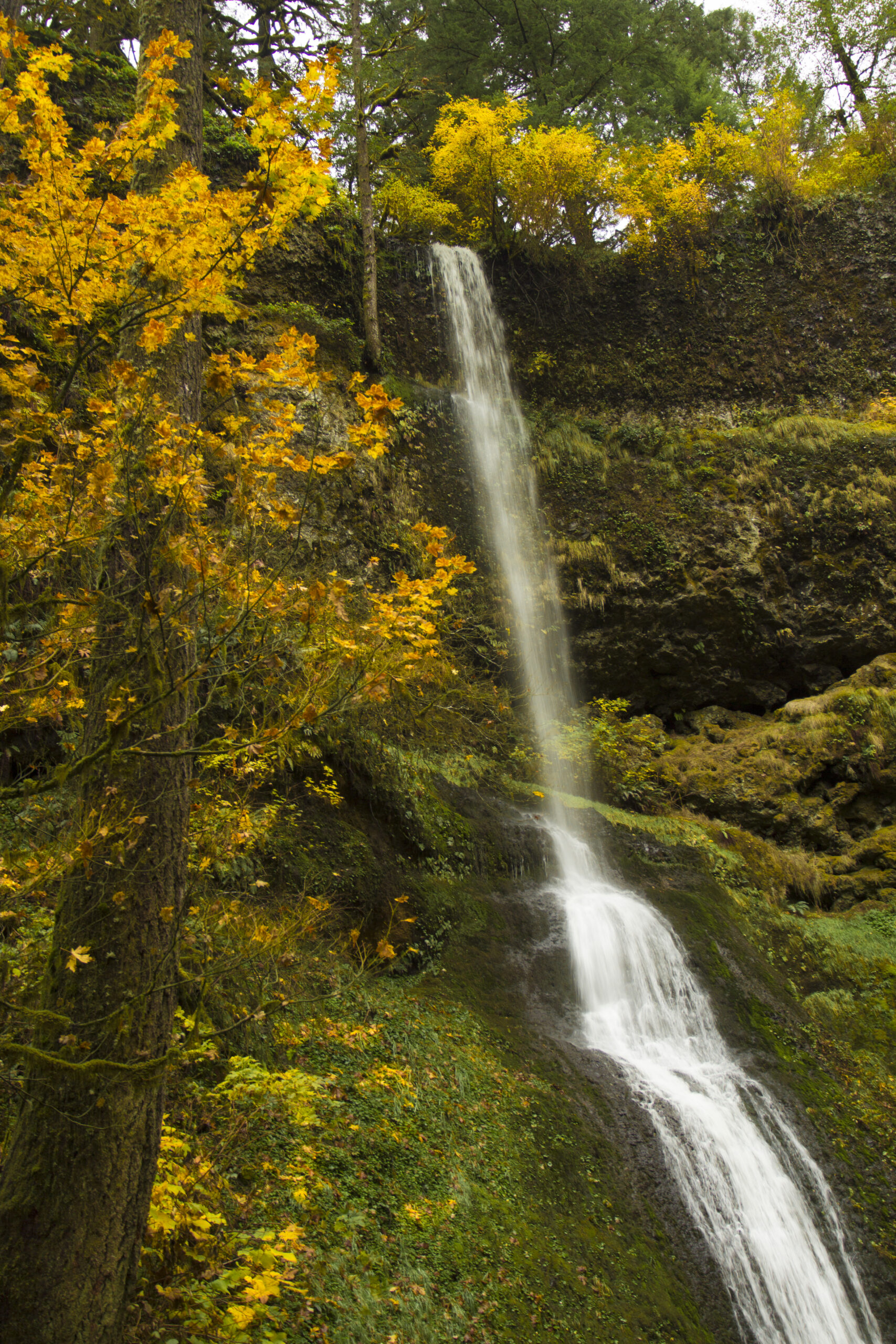 Winter Falls in Oregon